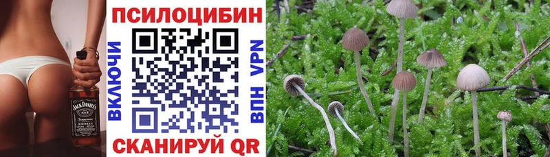omg ссылка  Волжск  нарко площадка состав  Псилоцибиновые грибы мухоморы 