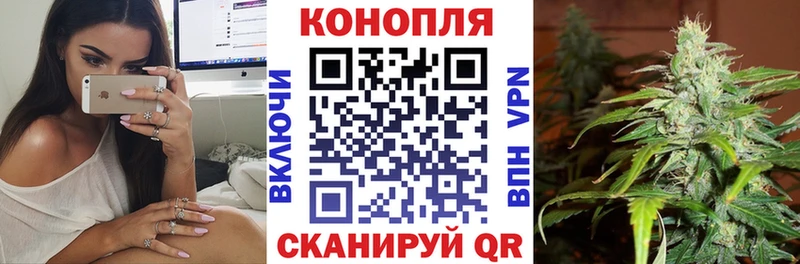 МАРИХУАНА тримм где можно купить Волжск